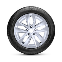225/40  R18  Pirelli Formula Energy 92W XL Вид 2